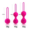 Eggs/Bullets Safe Silicone Smart Kegel Balls Simulator Chinese Ben Wa Vagina Balls Metal Vaginal Massager Shrinking Adults Sex Toys For Women 230413