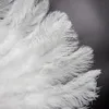 Andere evenementen Feestartikelen 13 Bot Pluizige Witte Struisvogelveren Fan voor Carnaval Huwelijksviering Dansshow DIY Decoratie Pluimen Op maat 231113