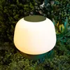 Tischlampen 3D-gedruckte dimmbare LED-Lampe Moderne klassische pflanzliche PLA für Wohnzimmer Wohnheim Home Office Glühbirne im Lieferumfang enthalten