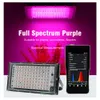 Grow Lights Full Spectrum LED Grow Light 50W 100W 300W Lampes de culture de plantes + EU Plug Sunlight Phyto Lamp pour Greenhouse Indoor Veg and Bloom P230413