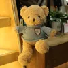 Ours en peluche de 30cm, jouets en peluche, faites votre propre ours en peluche, mignon avec pull, cadeau d'anniversaire