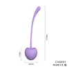 Oeufs/balles 5pcs ensemble boules de kegel forme d'oiseau boule de serrage vaginal exercice du plancher pelvien Ben Wa Geisha muscle rétrécissement jouets sexuels pour les femmes 230413