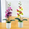 Decorative Flowers Fancy Faux Bonsai Colorfast Simulation Delicate Beautiful Desktop Fake Butterfly Orchid Reusable