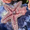 Fermagli per capelli brillanti di cristallo rosa stelle marine artiglio irregolare INS clip elegante per le donne gioielli estivi ragazza 2023 accessori regalo