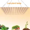 Grow Lights LED Grow Light 4000k Full Spectrum kraftfullt Phyto Lamp Plant Waterproof Lamp Plant Growing Light For inomhusblommor Grönsaker P230413