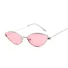 Occhiali da sole carino sexy cat eye donna retrò piccolo nero rosso rosa cateye occhiali da sole femminili tonalità vintage per