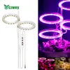 LED élèvent la lumière spectre complet Phyto élèvent la lampe USB Phytolamp pour les plantes 5V lampe pour l'éclairage de croissance des plantes pour les plantes d'intérieur P230413