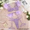 BH-Sets Super Sexy Dessous Ultradünnes transparentes Plume-BH-Set mit Kristallketten-Spitzen-BH-Set Sexy Unterwäsche