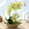 Dekoratif Çiçekler Yapay Orchid Flower Phalaenopsis Sahte sahte saksı bonsai sepet ipek bitki düğün partisi masa dekor el sanatları