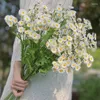 Couronnes fleurs décoratives 30 têtes Little Daisy Camomile Fleur artificielle Small Bouquet Home Wedding Decoration Po Props Fake