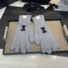 Gants cadeau de noël gants tricotés de créateur pour femmes Chic hiver gants chauds doux cinq doigts gants