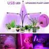 Luzes de cultivo USB LED Grow Light Full Spectrum DC 5V Fitolampy para Greenhouse Vegetable Plant Lighting Ir UV Lâmpada de Phyto P230413