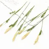 Decoratieve bloemen 100 stks/7-9 cm natuur geperst Carex gras met takken DIY huwelijksuitnodiging ambacht cadeau bladwijzer decoratie geurkaars