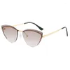 Sunglasses Curved Frame Glasses Trimmed Solid Color Women's Metal UV Sun Street Joker Plain