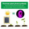 Выращивать светильники Солнечное светодиодное растение выращивать светлую полосу полного спектра 5 В 5 Вт фитора