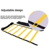 Ballen Outdoor Training Weerstand Parachute Agility Ladder Tekenschijven Set Hardloopparachute Oefening Fitness Sportuitrusting 231114