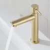 Rubinetti per lavandino del bagno Lavabo in acciaio inossidabile singolo freddo per il lavaggio Set Hardware per la casa Lavabi per lavanderia di lusso Rubinetto per il risparmio Oro