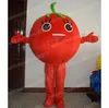 Costume de mascotte de tomate rouge de Noël personnage de thème de dessin animé Carnaval unisexe adultes taille Halloween fête d'anniversaire fantaisie tenue de plein air pour hommes femmes