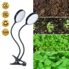 GROEP LICHTEN SUNTECH VOLLEDIGE SPECTRUM PHYTOLAMAMS 5V USB LED GROW LICHT MET Timer Desktop Clip Phyto -lampen voor planten Zaslichten P230413