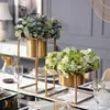 Vases Luxgry Home Decore Accessories Gold Metal Tabletop Plant Bonsai цветочный поднос свадебный арт ваза стойка сухофморт