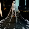 3.5M Magnifique Long Mariage Voile De Mariée Appliqued Dentelle Couvrir Le Visage Une Couche Femmes Accessoires De Cheveux Pour La Fête De Mariage Mariée Voile Bijoux De Cheveux CL2166