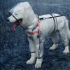Собачья одежда Hoopet Pet Raincoat Puppy четыре фута прозрачный водонепроницаемый водонепроницаемый плюшевый большой дождь для животных 230414