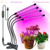 Grow Lights LED Phytolamp per piante Grow Light Phyto Lamp Port con timer Clip Grow Lamp per piantina di piante Fiore Indoor Fitolamp Grow Box P230413