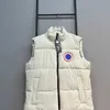 Gilets pour hommes Designer Gilet Saison Nouveaux vêtements de travail Unisexe Mode Outwear Épaissi Maille thermique Coton rouge 3ULC