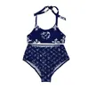 Women's Plus Size Swimwear designer Printed split swimsuit NUE3