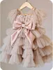 Robes de fille Bébé Filles Robe Rose Doublure Robe De Soirée Tutu Couches Tulle Princesse Robe Enfants Boutique Vêtements 1-12T Tenue