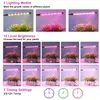 Grow Lights Piccola lampada per piante da interno Spettro rosso blu con timer Lampada per piante a luce solare a collo di cigno 80 cm per piante grasse P230413