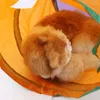 Koty zabawkowe koty tunelowe tunelowe tunele w kształcie litery L Zamknięte kociak grający namiot interaktywny dom Hideout dla małych królików zwierząt domowych