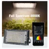 Grow Lights Full Spectrum LED Grow Light 50W 100W 300W Lampes de culture de plantes + EU Plug Sunlight Phyto Lamp pour Greenhouse Indoor Veg and Bloom P230413