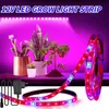 Grow Lights 12V LED -lampan Plant Grow Strip Lights LED Phytolamp Tape Full Spectrum Flower Phyto Lamp för växthushydroponisk tillväxtljus P230413