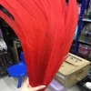 Other Event Party Supplies Beautiful red tail feathers 4080 cm 1632 inches lady Amherst silver chicken feather stage performance decoration 231113