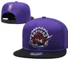 Toronto''raptors'''