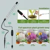 Kweeklampen groeien licht voor binnenplanten 48 LEDE planten kweeklampen met timer 5 dimbare niveaus vol spectrum GOOENECK GROEISTOF LAMP USB P230413