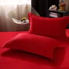 Conjuntos de cama Designers Moda Travesseiro Tabby 2 Pcs Consoladores Setvelvet Duveta Capa Cama Confortável King Quilt Tamanho