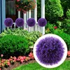 装飾的な花ユーカリグラスボール紫色の家の装飾グリーントピアリーボールズツリーボックスウッドプラスチックハンギングマザー