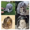 Cat Carriers Crates House przewoźnik dla kotów Outdoor Pet Ramion Work Nośnik przenośny plecak przezroczysty i oddychający odpowiedni dla małych psów koty 231113