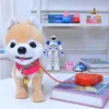 Freeshipping Robot Dog Singing Dancing Walking Husky Musical Electronic Pet Puppy Leash Teddy Music Plush Dog For Children Birthday Gif Cqnn