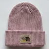 North Beanie Designer Face Chapéu de alta qualidade Chapéu frio Temporadas de outono e inverno Chapéu de malha sólida Proteção de orelha e proteção contra frio Chapéu de lã de marca para mulheres