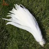 Other Event Party Supplies CHENGBRIGHT High Quality Pure White Rooster Coque Tail Feathers For Crafts Wedding Decoration Costume Decoration Pheasant 231114