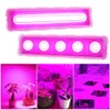 Grow Lights AC220V 50W COB LED Grow Light Full Spectrum Fitolamp IP65 Vattentät för inomhusblomma SEEDING -växt Växande Phyto -lampa P230413