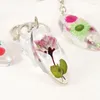 Keychains Natural Presses Flower Resin Leuke kleine toetsen sleutelhangers creatieve gedroogde bloemenaccessoires zoete Koreaanse sleutelhanger