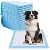 Vêtements pour chiens Tapis de pipi jetables Chiens Formation Pot Pet Tapis de sol à forte absorption 24 x 24 pouces (L