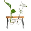 Wazony sadziarki żarówka szklana wazon doniczki do hydroponicznych roślin biurowych ogród