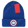 Canada Hat Luxus-Mütze, hochwertige Designer-Gans-Mütze, Beanie/Totenkopf-Designer, stilvolle Totenkopf-Kappe, Buchstabe Jacquard-Mütze für Männer und Frauen, warme Wollmütze, Unisex, Ski, A2 T1HC