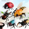 Elétrica / RC Animais Novidade Simulação Elétrica Mosca Joaninha Honeybee Caranguejo Controle Remoto Mover Prank Joke Truque Assustador Bugs RC Animal Halloween Kids T Q231113