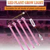Büyüme Işıkları 30/50cm İç Mekan Dimmable LED Güç Hidroponik Kitleri ile Işık Fito Lamba Zamanlayıcısı Bitkiler için Tam Spektrum Lambası Kapalı Mekan Büyüyen P230413